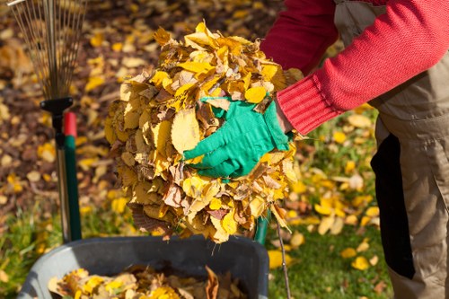 Eco-friendly house clearance options