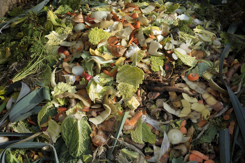 waste disposal junk removal
